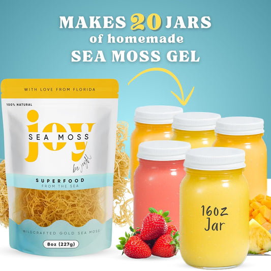 Wildcrafted Irish Sea Moss - 16oz (2 8oz Bags)