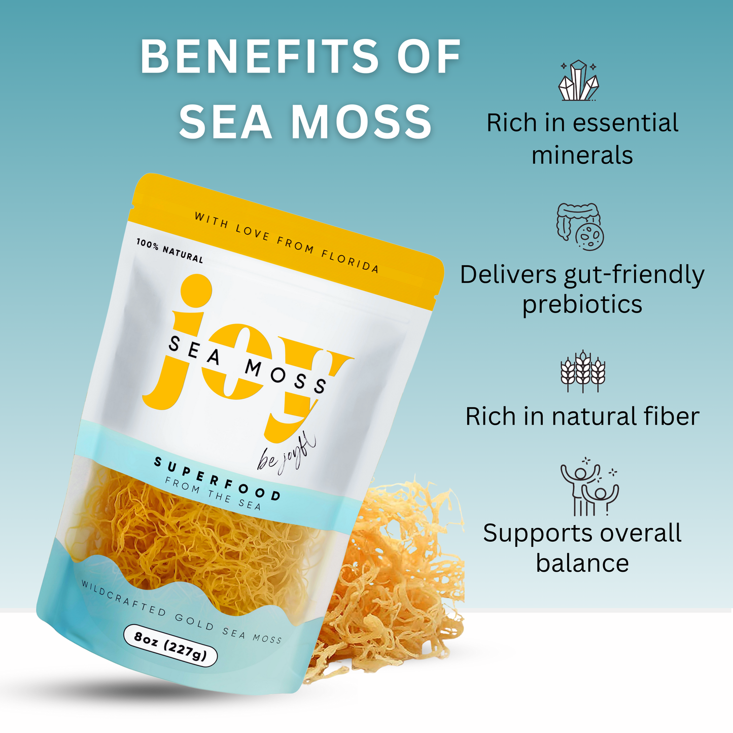 Wildcrafted Irish Sea Moss - 16oz (2 8oz Bags)